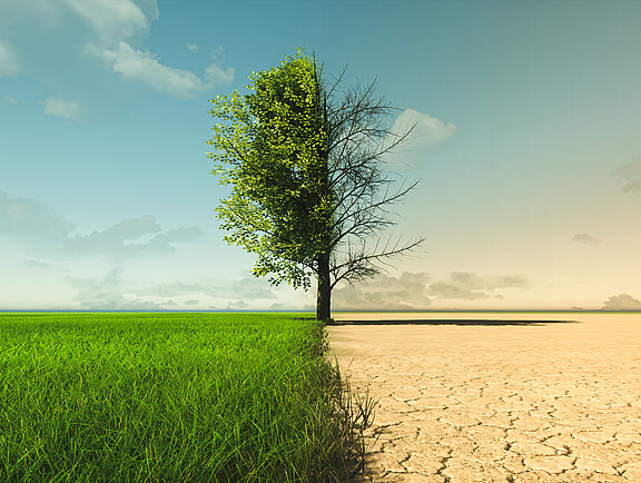 © appledesign - stock.adobe.com (KI generiert)