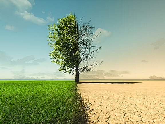 © appledesign - stock.adobe.com (KI generiert)